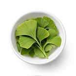 Ginkgo Biloba Leaf Extract